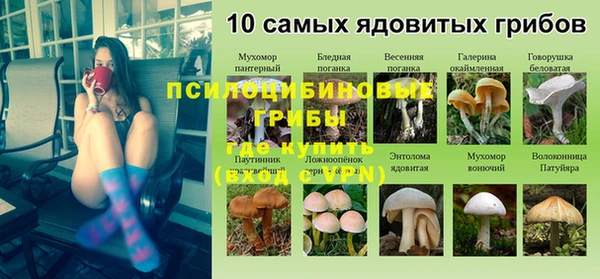 spice Абаза