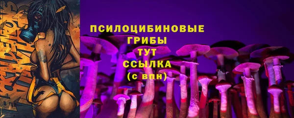 spice Абаза