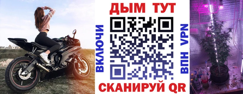 Конопля Bruce Banner  цена   Духовщина 